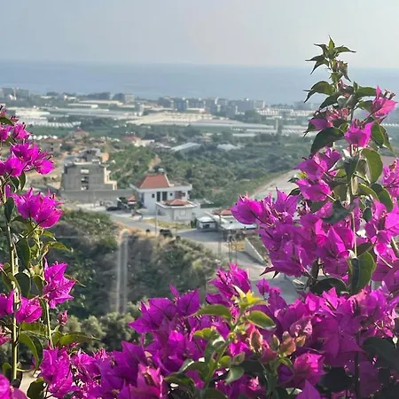 Apartamento Апартамент С Видом На Горы На Территории Отеля Gold Cyti Kargicak (Alanya)